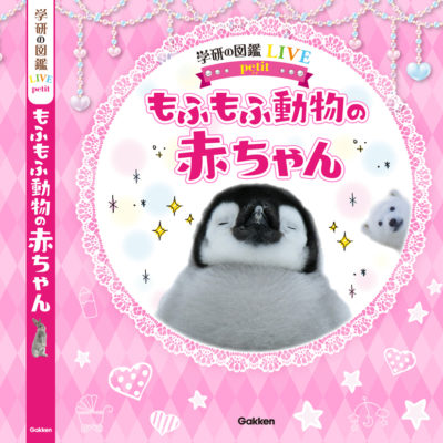 もふもふ動物のあかちゃん